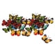 thumbnail image 4 of Lote De 24 Figuras De Mariposas De Simulación, Modelo Animal, Juguete De Regalo Para Ni?os, 4 of 5
