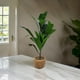 thumbnail image 2 of Planta Artificial Macetero De Cemento Naranjo Hojas Verdes blanco, 2 of 7