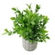 thumbnail image 5 of Planta Decorativa Artificial Wisteria, 5 of 5