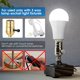 thumbnail image 4 of Bombillas LED Briignite de 3 vías, 9 W, 15 W, 20 W, 5000 K, E26, paquete de 2, 4 of 8