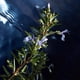 thumbnail image 4 of Perfume Cool Water Reborn Eau De Toilette 75 Ml Para Hombre, 4 of 6