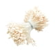 thumbnail image 4 of 1 paquete artificial mate doble cabeza flor estambre pistilo crema, 4 of 5