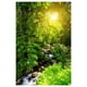 thumbnail image 1 of 3d impermeable tapiz-paisaje serie bosque luz del sol decoración 180x180cm, 1 of 3