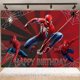 thumbnail image 5 of Set de Decoración de Fiesta IKTMGFS 46 Piezas Tema Araña, 5 of 5