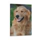 thumbnail image 1 of Golden Retriever Cuadro decorativo colgante - Arte de pared - Póster enmarcado - Decoración de pared - Regalos para familia, amigos y aficionados 40*60 cm, 1 of 6