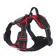 thumbnail image 1 of Arnés para Perros con Luz Led Talla S, 1 of 2