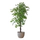 thumbnail image 4 of Planta Artificial Decorativa Arbol Grande Ficus 180cm 1260h, 4 of 9