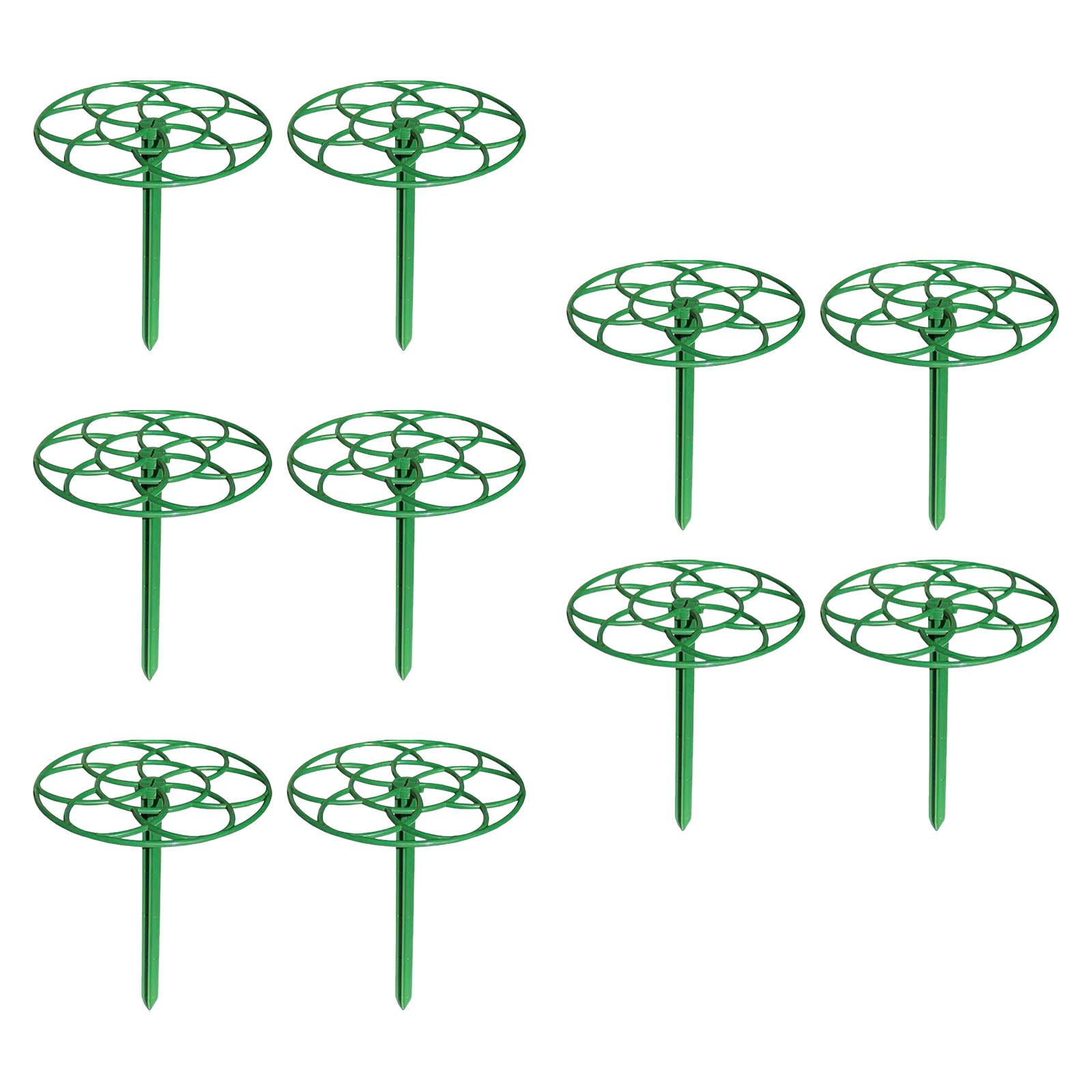 Ioensy - 10 Piezas De Soportes Para Plantas, Estacas Para Vegetales, Rosas, Plantas De Interior Grandes
