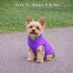 thumbnail image 2 of Jersey para perros y chaleco polar JACKO & CO, color morado, para perros pequeños, 2 of 8