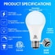 thumbnail image 2 of Bombilla E ENERGETIC LIGHTING, 3 vías, 40, 75, 100 W, 2700 K, paquete de 2, 2 of 8