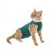 thumbnail image 1 of Body Quirúrgico para Gatos T2 - 3 a 3.8 KG. - Verde, 1 of 1