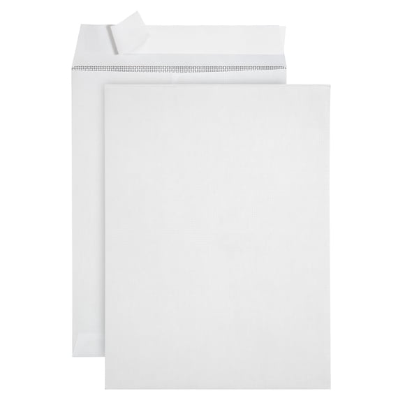 Catálogo de sobres Blue Summit Supplies, 100 sobres de 9 x 12 pulgadas