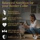 thumbnail image 2 of Suplemento Para Perro Para Border Collie Multivitamínico 90 Piezas, 2 of 6