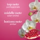 thumbnail image 3 of Spray Corporal Body Fantasies Dreamy Pomegranate 236 ml, 3 of 9