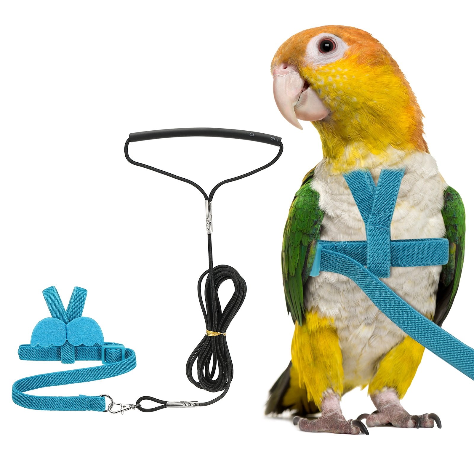 Arnés y Correa para Aves Uxcell, Arnés y Correa para Loros con Alas Lindas para Loros (Azul, S)