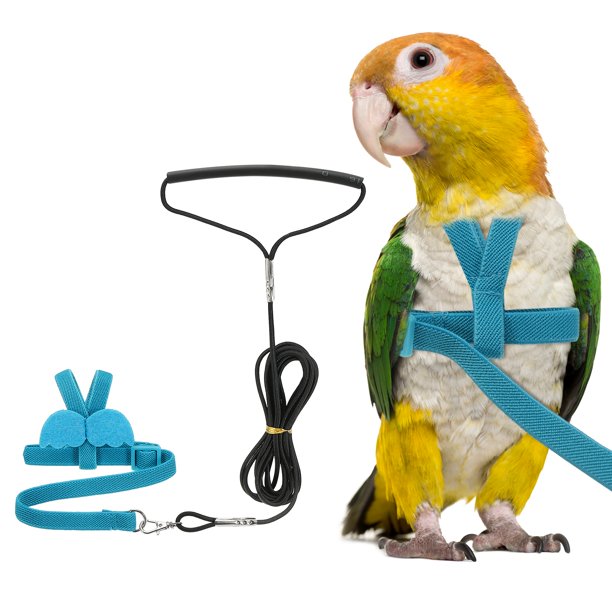 Arnés y Correa para Aves Uxcell, Arnés y Correa para Loros con Alas Lindas para Loros (Azul, S)