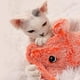 thumbnail image 3 of Juguete eléctrico de langosta para gatos, juguete masticable con forma de pez, juguete realista de langosta, divertido juguete interactivo de peluche con hierba gatera para gatos de interior, gatitos, 3 of 8