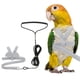 thumbnail image 1 of Arnés y Correa para Aves Uxcell, Arnés y Correa para Loros con Alas Lindas para Loros (Gris, L), 1 of 7