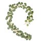 thumbnail image 1 of Faux Silver Dollar Guirnalda De Eucalipto Hojas Artificiales Decoración Verde, 1 of 5