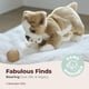 thumbnail image 3 of Juguete de peluche de la colección Bearington Tug The English Bulldog, 3 of 6