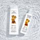 thumbnail image 2 of Champú para mascotas GIOVANNI Professional con avena y coco 473 ml, 2 of 6