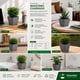 thumbnail image 3 of Jardinera Macetero Cuadrada Plastico 20cm Terraza Balcon cafe Talla Única, 3 of 7