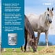thumbnail image 2 of Fórmula Equina Total Prebiótica Y Probiótica Suplemento Digestivo Natural Para Caballos Sal, 2 of 7