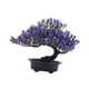 thumbnail image 3 of Árbol Bonsái Artificial Moderno, Pequeño, Planta Falsa, Decoración Para Mesa, Dormitorio, Jardín, Morado Oscuro, 3 of 5