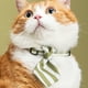 thumbnail image 3 of Pidan® Cuello Corbata Elegante Para Gato, 3 of 3