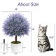 thumbnail image 3 of Set de 2 topiarios de lavanda de 63 cm con macetas – LuceAlberi, 3 of 9