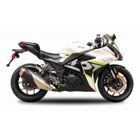 Genérico - Pastillas De Freno Traseras Para Moto Motorrad Rz3