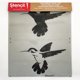 thumbnail image 5 of Plantilla Stencil1 22 × 28 cm Colibrí #2, 5 of 7