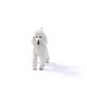 thumbnail image 3 of Figura de juguete Schleich Farm World Poodle para niños mayores de 3 años, 3 of 6