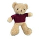thumbnail image 1 of Oso de Peluche Clásico, 1 of 1