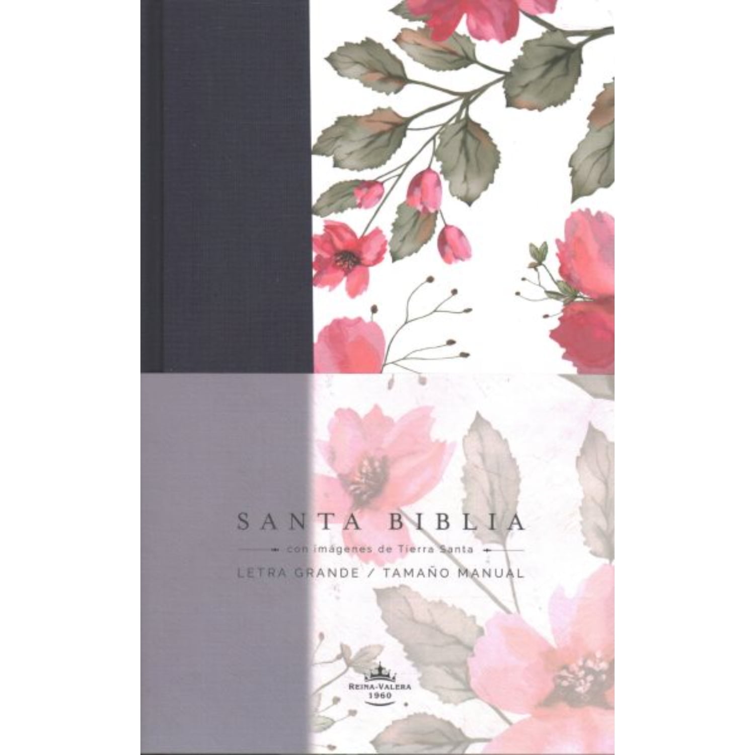 Origen - Libro Santa Biblia Rvr 1960. Clr Azul Purp-fl