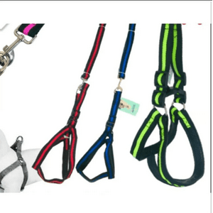 Genérico - Arnes Con Correa Para Perro Nylon Colores Surtidos