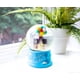 thumbnail image 5 of Bola de nieve Toynk Disney Pixar UP House Light-Up de 15 cm de altura, 5 of 7