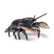 thumbnail image 4 of La figurita Papo Lobster estimula la imaginación y ayuda al aprendizaje, 4 of 7