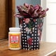 thumbnail image 4 of Sellador mate Mod Podge de Craft Solution, 946 ml, para madera y más, 4 of 9