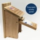 thumbnail image 2 of Cedro natural tradicional Woodlink BB3 de Bluebird House, 2 of 9