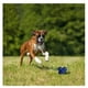 thumbnail image 3 of Juguete Para Perro Lanzador Nylabone Play Crazy Ball Talla L amarillo, 3 of 4
