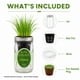 thumbnail image 3 of Kit de cultivo hidropónico de cebollín para interiores Environet, 3 of 9