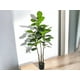 thumbnail image 3 of Árbol Ficus Lyrata Multi-troncos 180cm Artificial, 3 of 3
