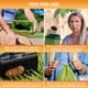 thumbnail image 5 of Recogedor de heces para perros Neater Pet Brands 79 cm 195 bolsas, 5 of 9