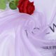 thumbnail image 1 of suxuMhao Tela de Organza Morado Claro para Coser, 39x59 Pulgadas 1 Pieza, Material para Coser, Suministros de Acolchado, Tela Suave y Delgada, Suministros Esenciales de Costura, para Proyectos de, 1 of 3