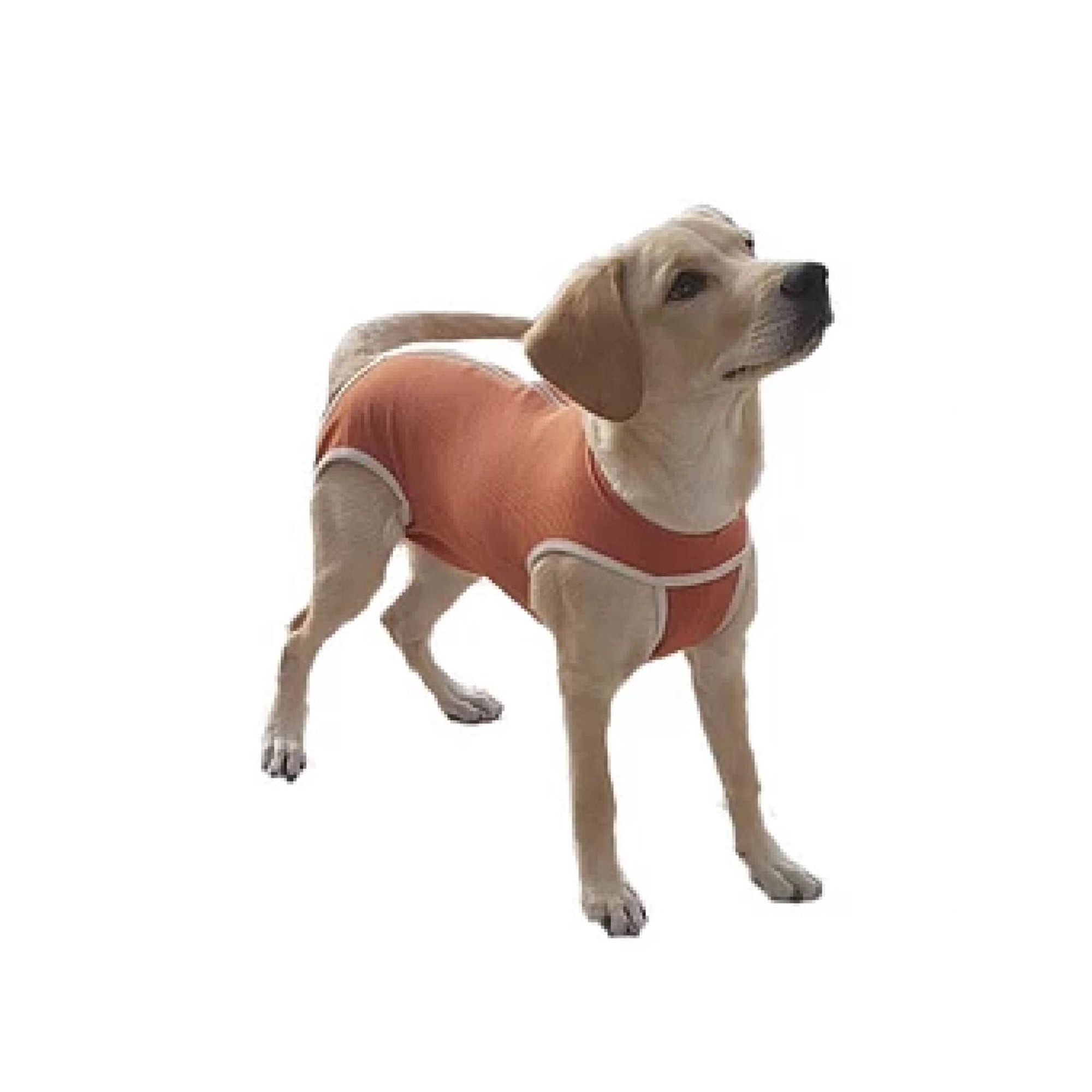 BODY COBRE KIMBA TRADICIONAL TALLA 4 (6 A 7,5 KG) naranja