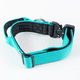 thumbnail image 1 of Collar Combat 4 cm para Perros  Street Dogs Turquoise L, 1 of 4