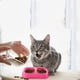 thumbnail image 4 of Cuenco de agua y comida para mascotas con plato doble, cuenco de agua y comida para gatos y perros, 4 of 5