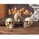 thumbnail image 5 of Set de figuras de resina Zingz & Thingz Skeleton & Skulls, 3 piezas, 5 of 8