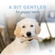 thumbnail image 2 of Juguete masticable para perros Benebone Puppy Wishbone, duradero, tocino auténtico, 2 of 6